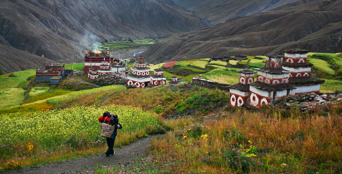 Dolpo